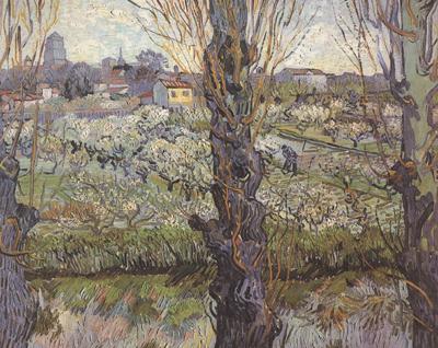 Vincent Van Gogh Orchard in Blossom with View of Arles (nn04)